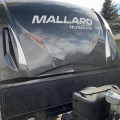 2017 Mallard