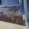2007 Cheetah