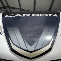 2020 Carbon